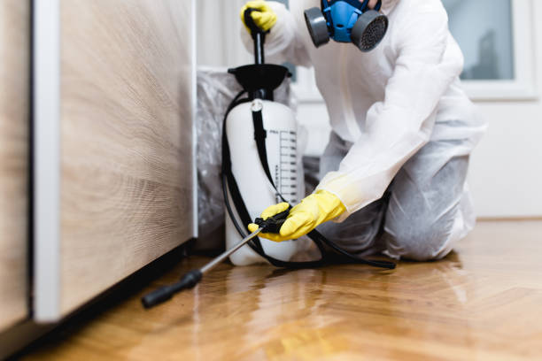  El Paso, TX Pest Control Pros