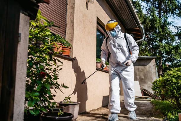 Best Flea Control Services  in El Paso, TX