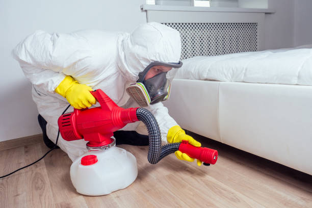  El Paso, TX Pest Control Pros