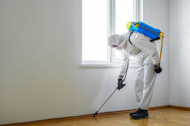 Best Pest Control Treatment  in El Paso, TX
