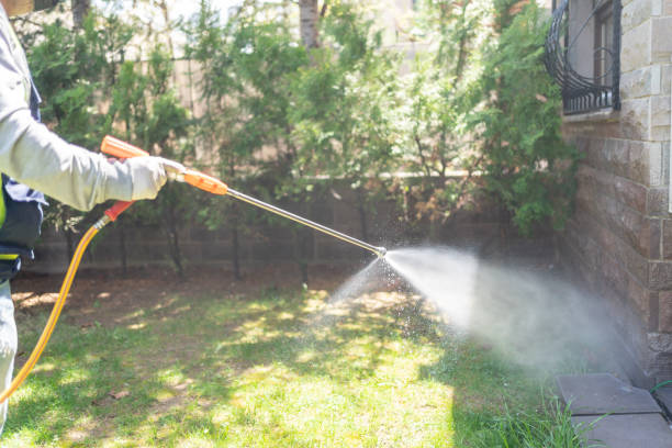 Best Best Pest Control Companies  in El Paso, TX