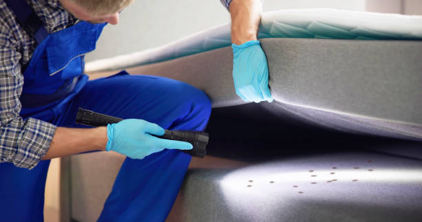 Best Local Pest Control Services  in El Paso, TX