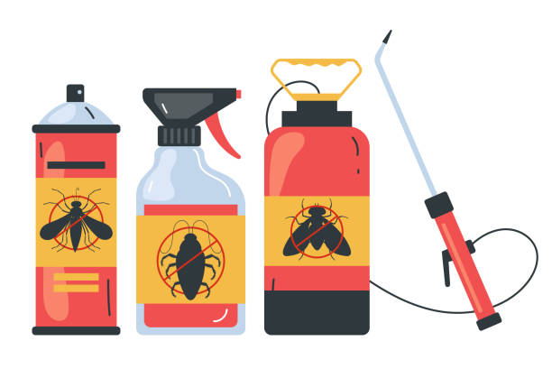 Best Termite Control Services  in El Paso, TX
