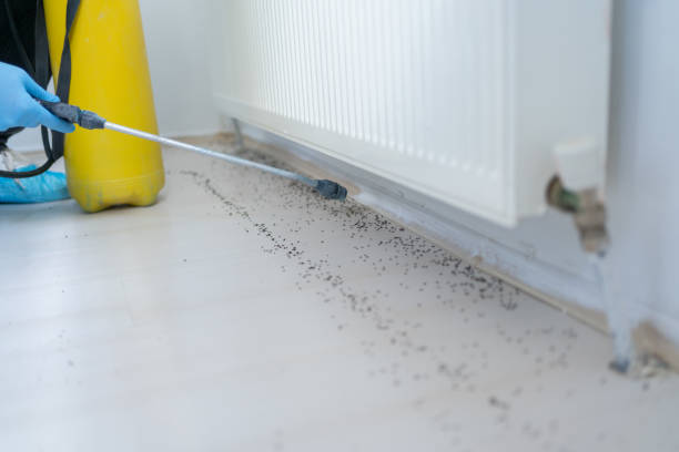 Best Pest Control for Businesses  in El Paso, TX